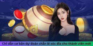 Dự đoán chẵn lẻ xóc đĩa